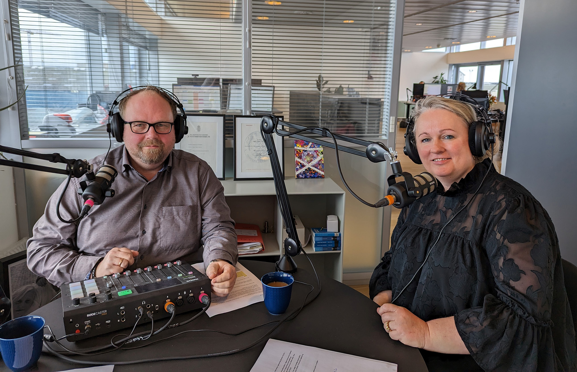 Interview Med Byr dspolitiker Og Iv rks tter Mette Jors Mieritz 