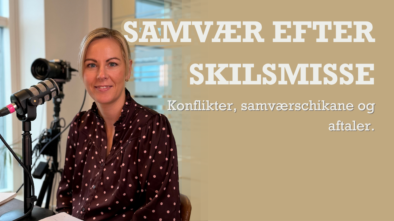 Samvær... Konflikter, samværschikane og aftaler.